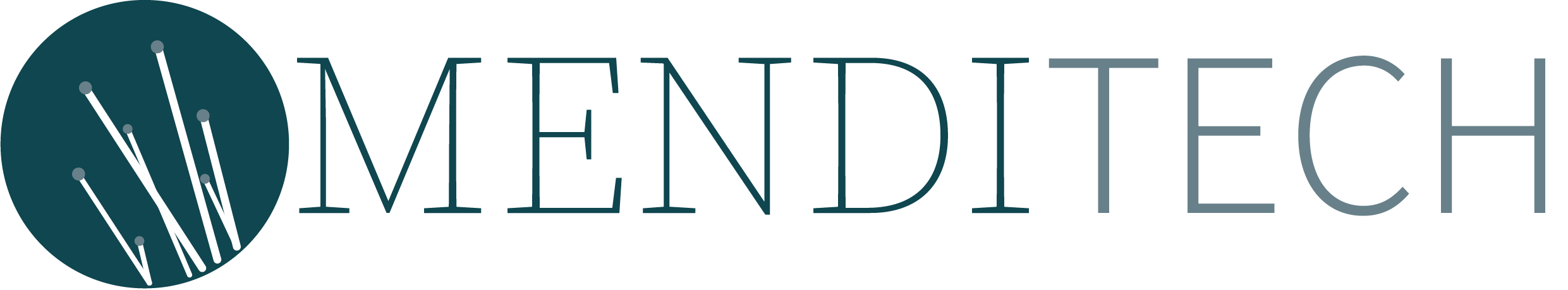 MendiTech, Sensores de Fibra Optica, S.L. Logo