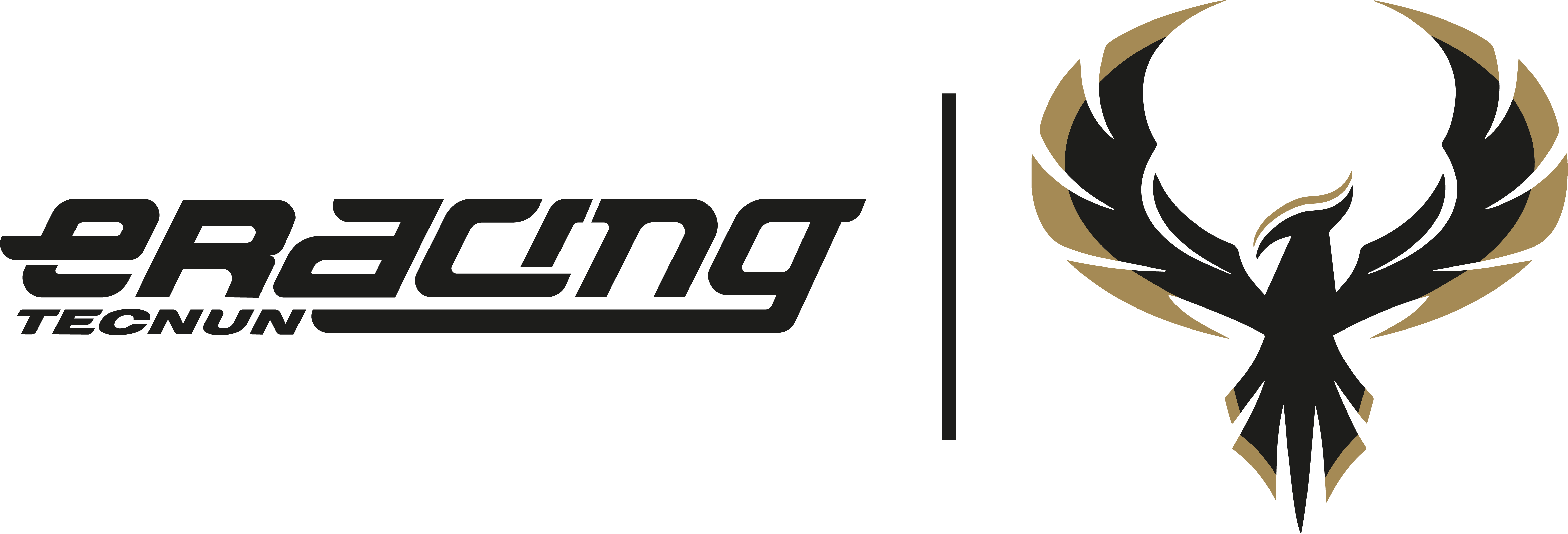Tecnun eRacing Logo